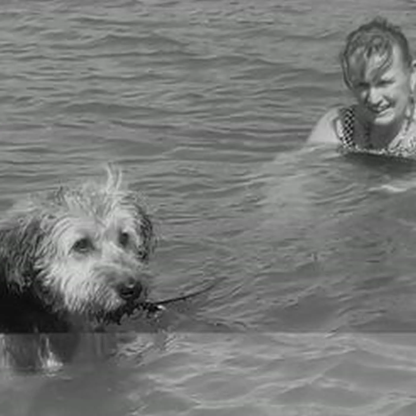 Schwarz-Weiß-Foto: nasser, zotteliger Hund mit Stöckchen im See, dahinter lacht eine Frau im Wasser