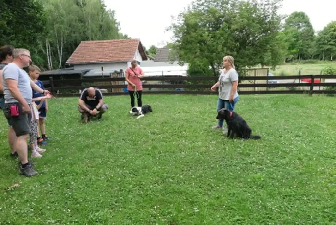 Gruppentraining auf der Hundewiese