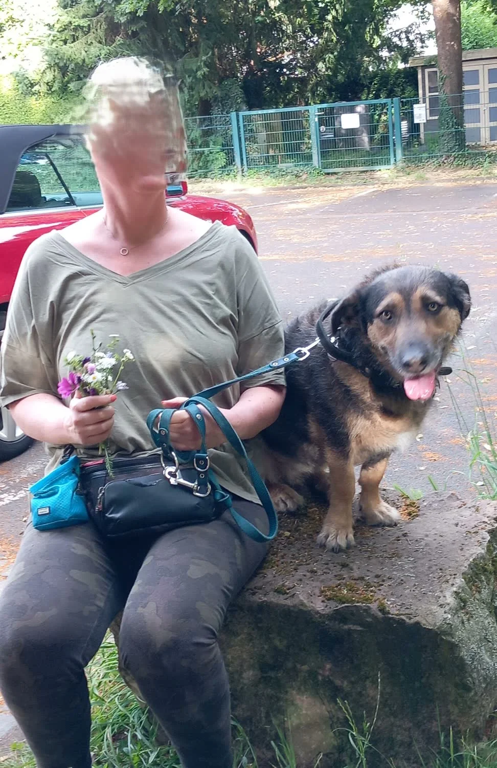 Frau mit Wiesenblumen sitzt auf einem Stein, neben ihr ein Mischlingshund an der Leine