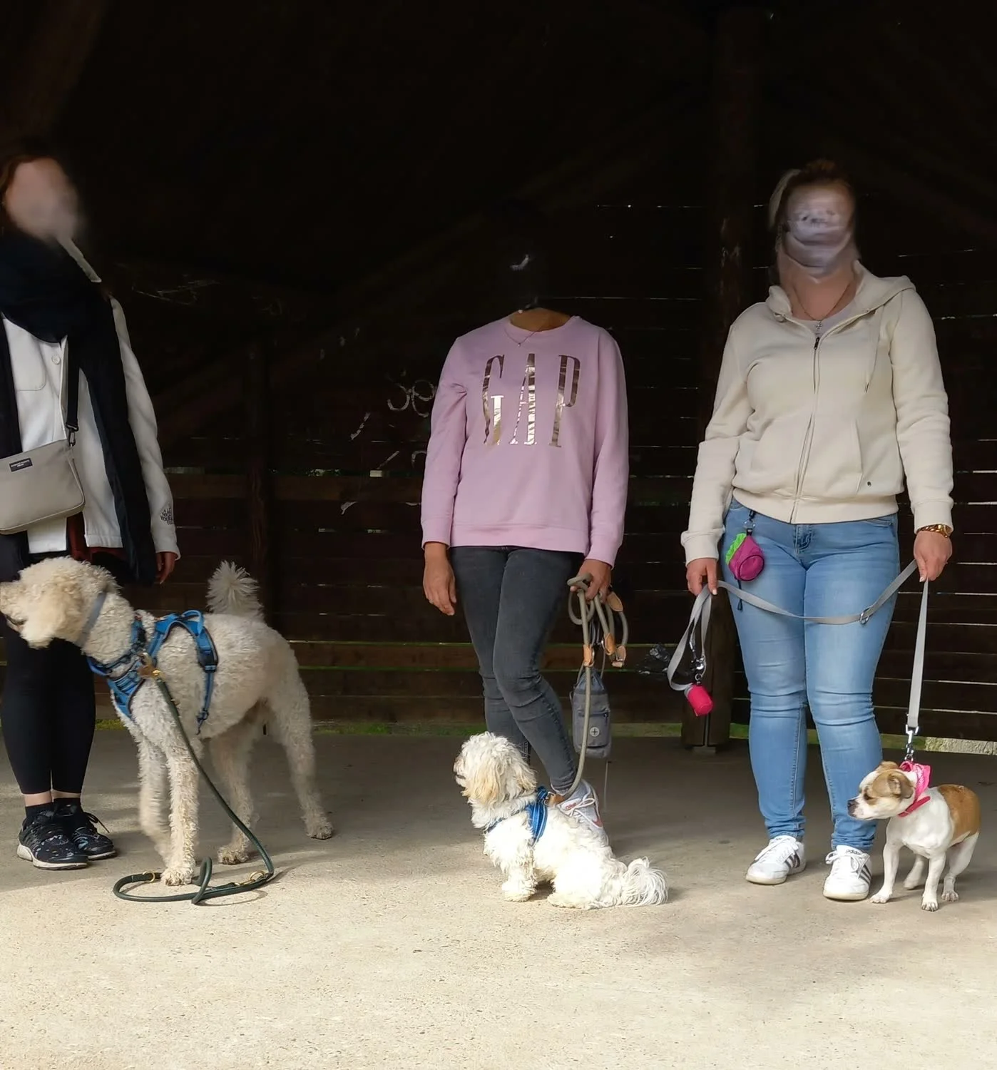 Gruppenausflug mit kleinen Hunden: drei Halterinnen mit ihren Hunden an der Leine