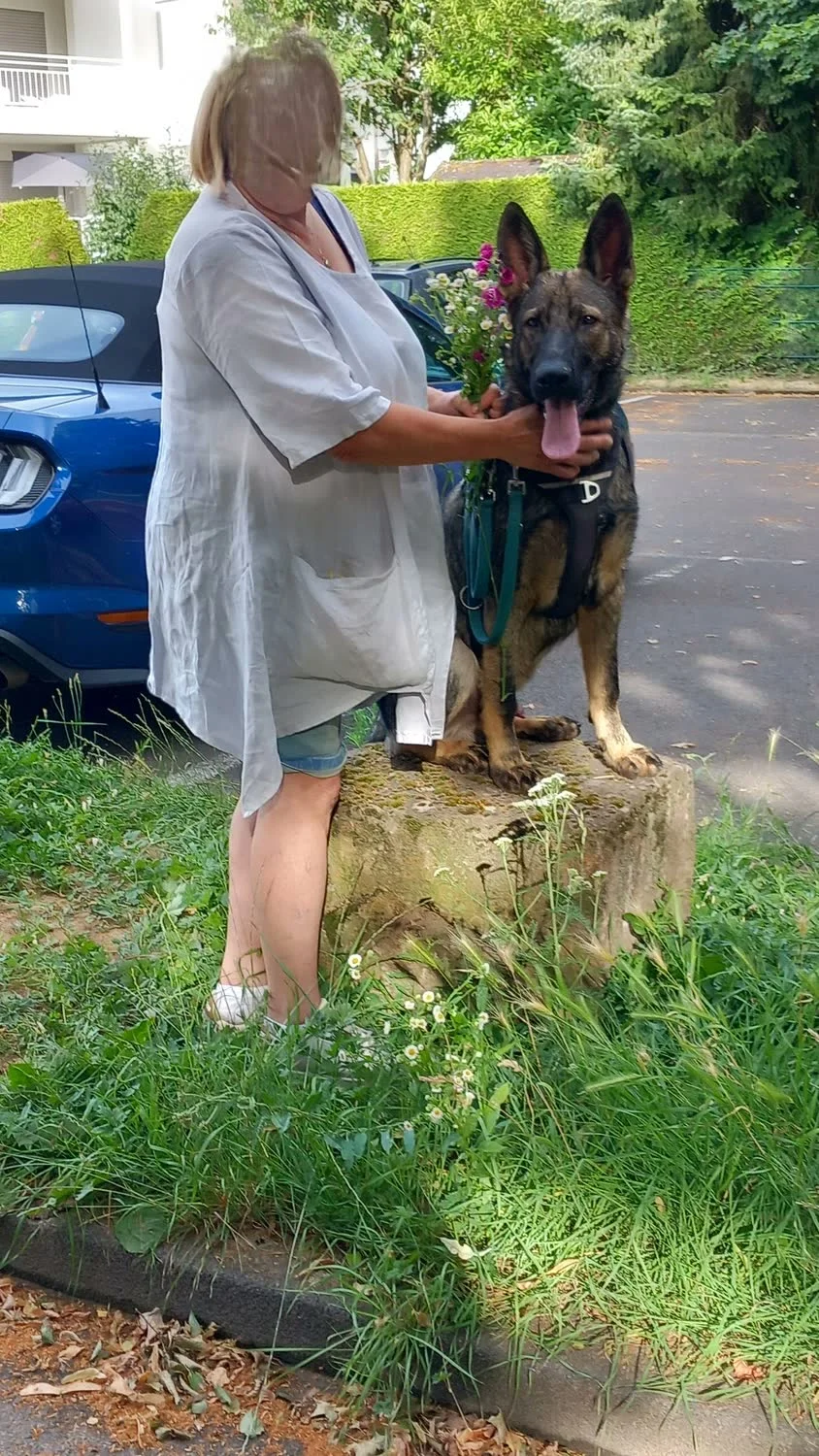 Junger Schäferhund sitzt auf einem Steinblock, eine Frau mit Blumenstrauß krault ihn